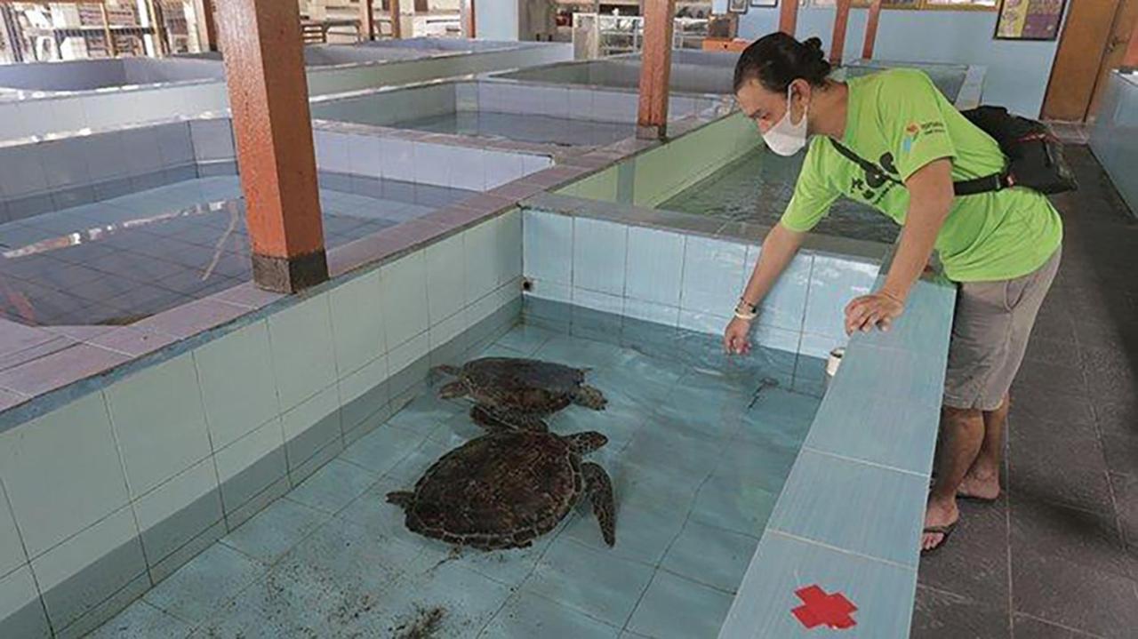 Pima Homestay Pesanggaran Bagian luar foto